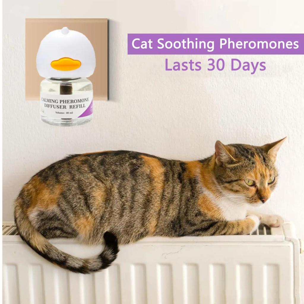 cat pheromone defusor
