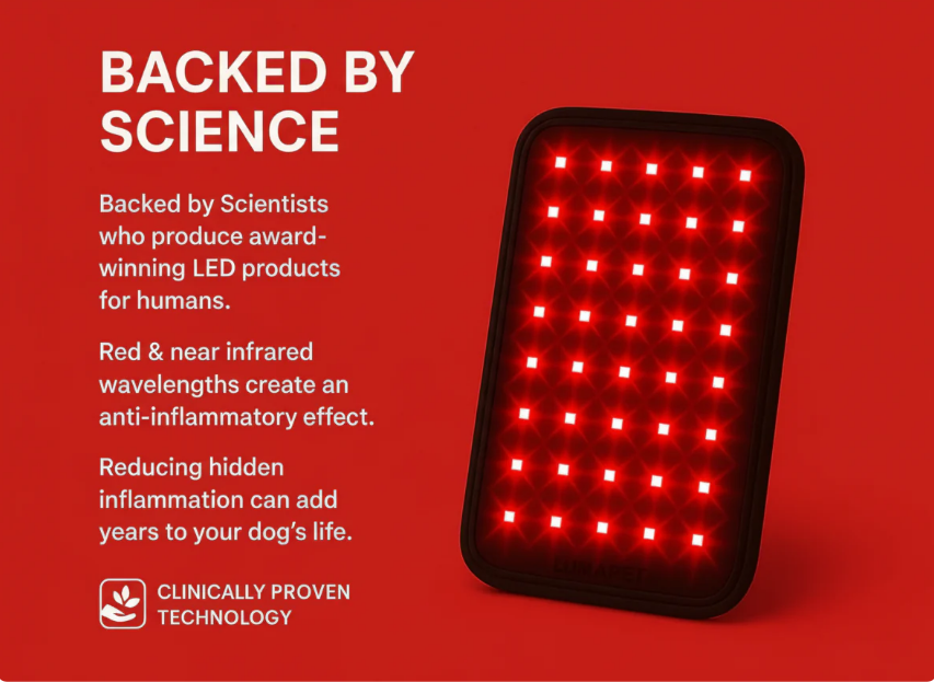 Red Light Therapy Pad for Pets – Safe, Non-Invasive Pain Relief for Dogs