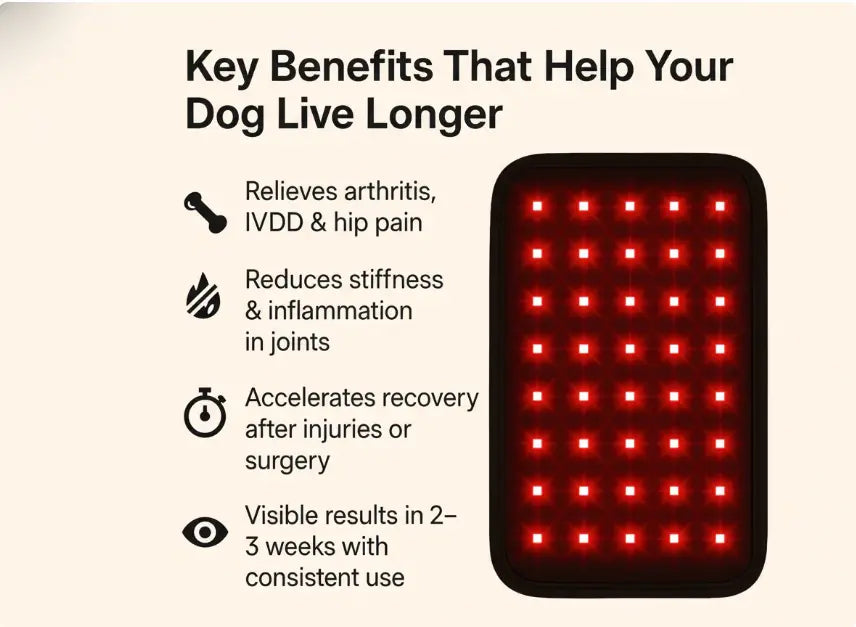 Red Light Therapy Pad for Pets – Safe, Non-Invasive Pain Relief for Dogs Grab3