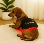 Red Light Therapy Pad for Pets – Safe, Non-Invasive Pain Relief for Dogs Grab3