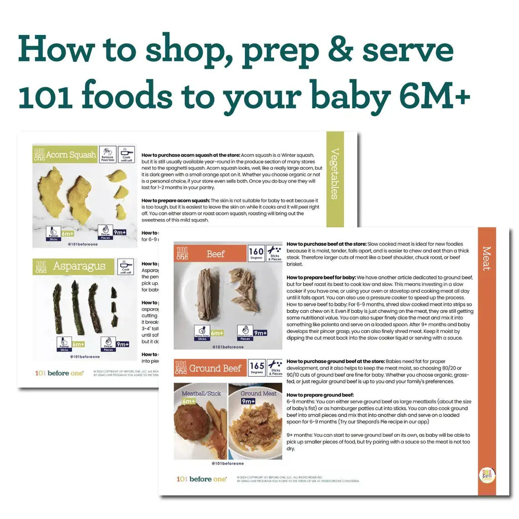 Baby's First 101 Foods Guide + Checklist (Digital PDF Guide) Grab3