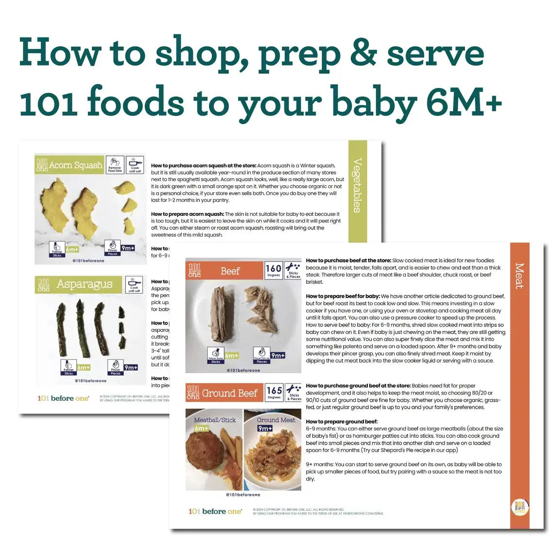Baby's First 101 Foods Guide + Checklist (Digital PDF Guide) Grab3