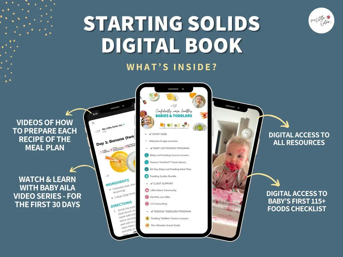 Baby Food Meal Plan & First Foods Guide (Digital Download) Grab3