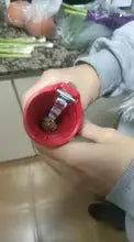 Manual Nutcracker – Easy Handheld Nut Cracker for Walnuts & Hazelnuts Grab3