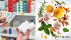 The Natural Healing Handbook: Old World Remedies Grab3